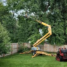 Best Firewood Processing and Delivery  in Satellite Beach, FL