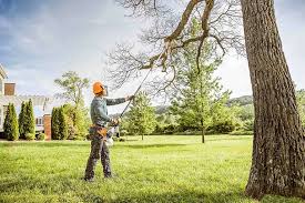 How Our Tree Care Process Works  in  Satellite Beach, FL