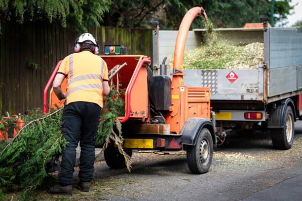 Best Commercial Tree Services  in Satellite Beach, FL