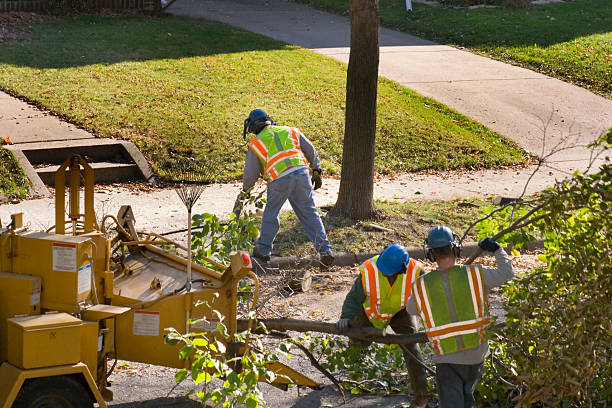 Best Lawn Maintenance Plans  in Satellite Beach, FL